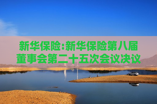 新华保险:新华保险第八届董事会第二十五次会议决议公告