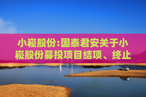 小崧股份:国泰君安关于小崧股份募投项目结项、终止并永久补充流动资金的核查意见