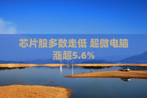 芯片股多数走低 超微电脑涨超5.6%