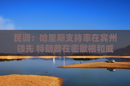 民调：哈里斯支持率在宾州领先 特朗普在密歇根和威斯康星州领跑