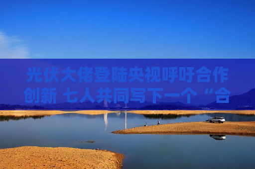光伏大佬登陆央视呼吁合作创新 七人共同写下一个“合”字
