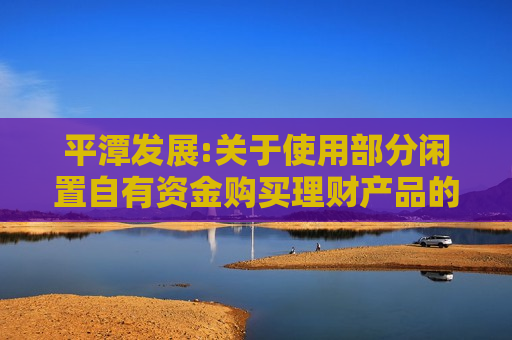 平潭发展:关于使用部分闲置自有资金购买理财产品的进展公告
