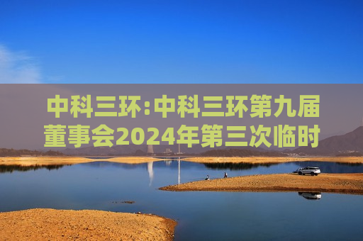 中科三环:中科三环第九届董事会2024年第三次临时会议决议公告