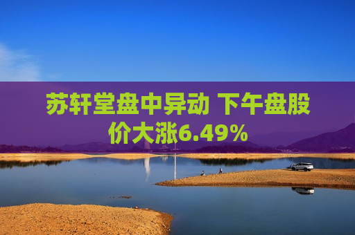 苏轩堂盘中异动 下午盘股价大涨6.49%