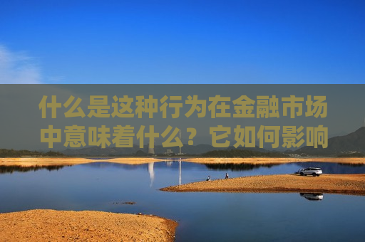 什么是这种行为在金融市场中意味着什么？它如何影响投资者的决策？