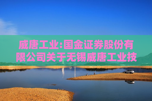 威唐工业:国金证券股份有限公司关于无锡威唐工业技术股份有限公司新增关联交易的专项核查意见