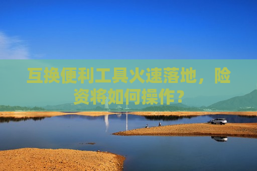 互换便利工具火速落地，险资将如何操作？
