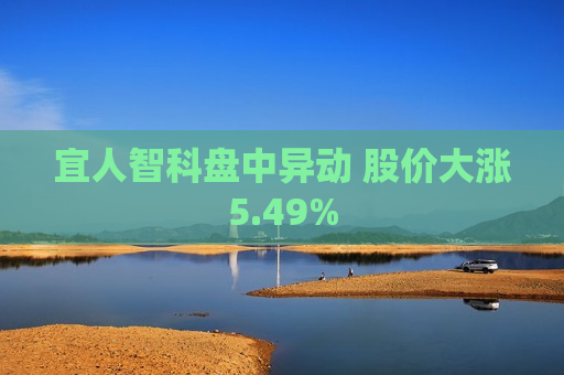 宜人智科盘中异动 股价大涨5.49%