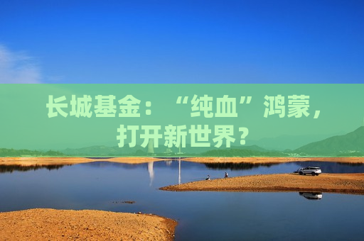 长城基金：“纯血”鸿蒙，打开新世界？