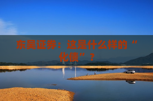 东吴证券：这是什么样的“化债”？
