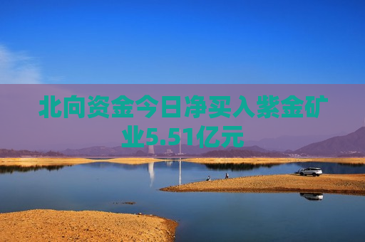 北向资金今日净买入紫金矿业5.51亿元