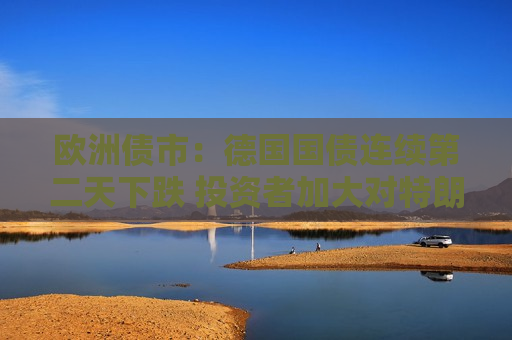 欧洲债市：德国国债连续第二天下跌 投资者加大对特朗普交易的押注