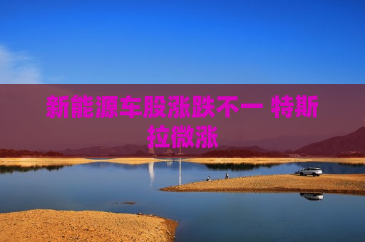 新能源车股涨跌不一 特斯拉微涨