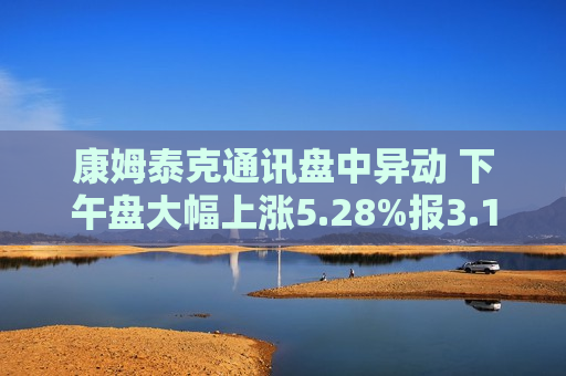 康姆泰克通讯盘中异动 下午盘大幅上涨5.28%报3.19美元