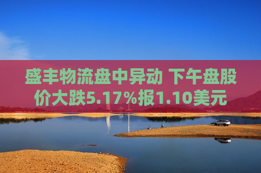 盛丰物流盘中异动 下午盘股价大跌5.17%报1.10美元