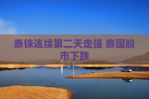 泰铢连续第二天走强 泰国股市下跌