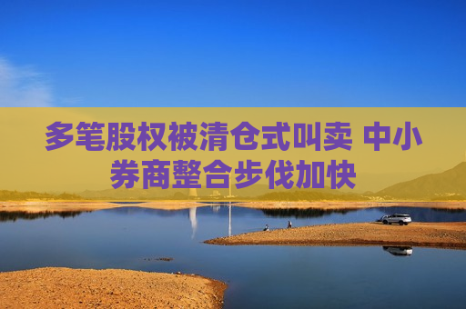 多笔股权被清仓式叫卖 中小券商整合步伐加快