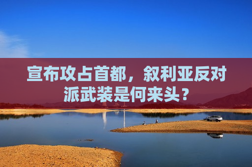宣布攻占首都，叙利亚反对派武装是何来头？