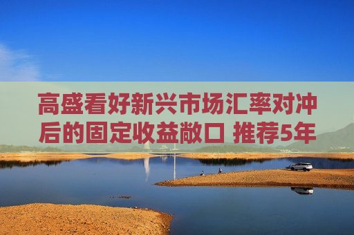 高盛看好新兴市场汇率对冲后的固定收益敞口 推荐5年期中国国债