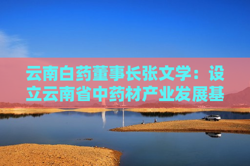 云南白药董事长张文学：设立云南省中药材产业发展基金，快速构建医药大健康产业集群