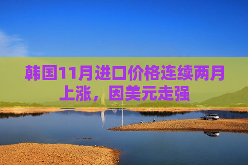 韩国11月进口价格连续两月上涨，因美元走强