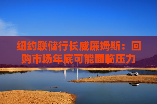 纽约联储行长威廉姆斯：回购市场年底可能面临压力