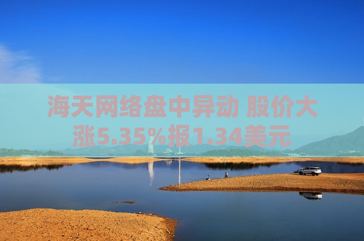 海天网络盘中异动 股价大涨5.35%报1.34美元
