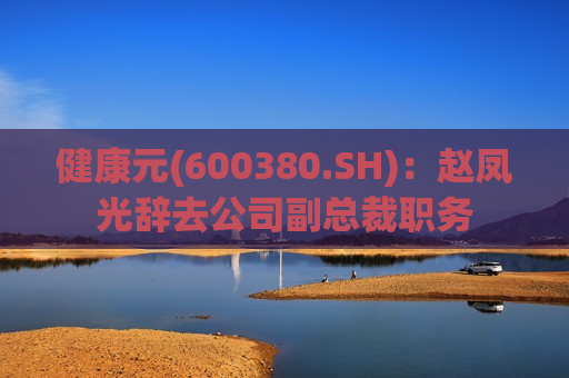 健康元(600380.SH)：赵凤光辞去公司副总裁职务