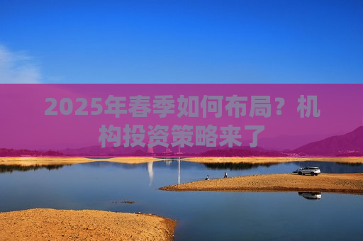 2025年春季如何布局？机构投资策略来了