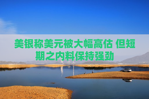 美银称美元被大幅高估 但短期之内料保持强劲