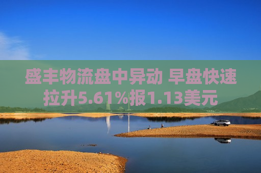 盛丰物流盘中异动 早盘快速拉升5.61%报1.13美元