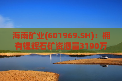 海南矿业(601969.SH)：拥有锂辉石矿资源量3190万吨