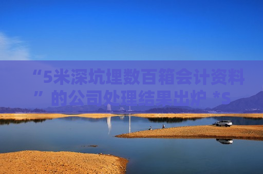 “5米深坑埋数百箱会计资料”的公司处理结果出炉 *ST长方及相关责任人将被行政处罚