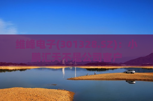 维峰电子(301328.SZ)：小鹏汇天不是公司客户