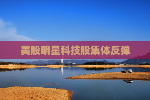 美股明星科技股集体反弹