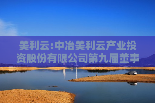 美利云:中冶美利云产业投资股份有限公司第九届董事会第二十二次会议决议公告