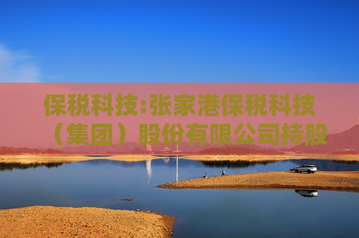 保税科技:张家港保税科技（集团）股份有限公司持股5%以上股东减持股份计划公告