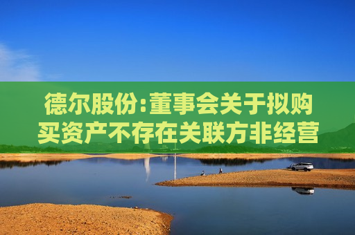德尔股份:董事会关于拟购买资产不存在关联方非经营性资金占用问题的说明