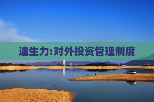 迪生力:对外投资管理制度