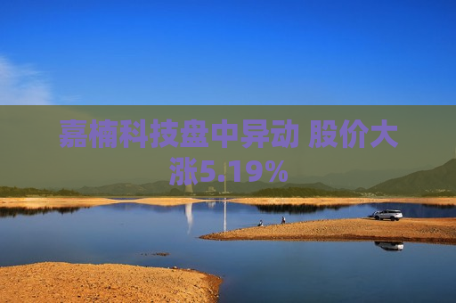 嘉楠科技盘中异动 股价大涨5.19%