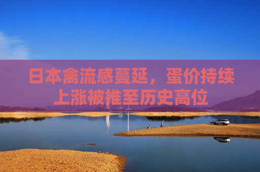 日本禽流感蔓延，蛋价持续上涨被推至历史高位