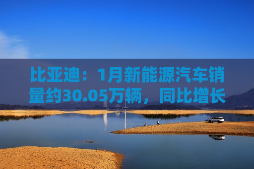 比亚迪：1月新能源汽车销量约30.05万辆，同比增长49.16%
