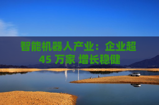智能机器人产业：企业超 45 万家 增长稳健