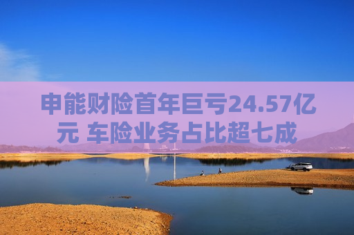 申能财险首年巨亏24.57亿元 车险业务占比超七成