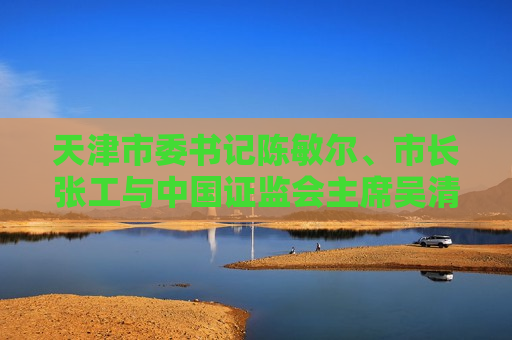 天津市委书记陈敏尔、市长张工与中国证监会主席吴清座谈