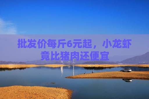 批发价每斤6元起，小龙虾竟比猪肉还便宜