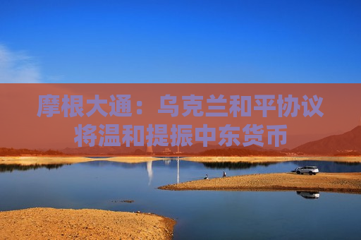 摩根大通：乌克兰和平协议将温和提振中东货币