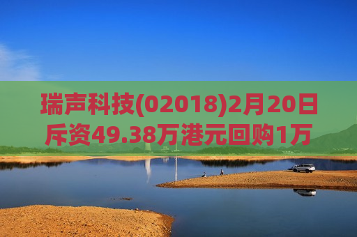 瑞声科技(02018)2月20日斥资49.38万港元回购1万股