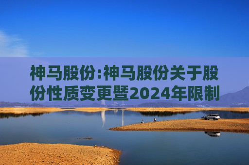 神马股份:神马股份关于股份性质变更暨2024年限制性股票激励计划权益授予的进展公告