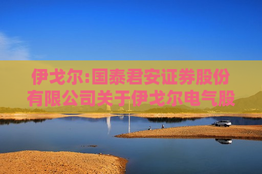 伊戈尔:国泰君安证券股份有限公司关于伊戈尔电气股份有限公司向特定对象发行A股股票之发行保荐书